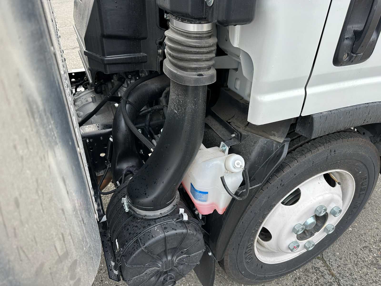 2025 Chevrolet Low Cab Forward 5500 HG Base